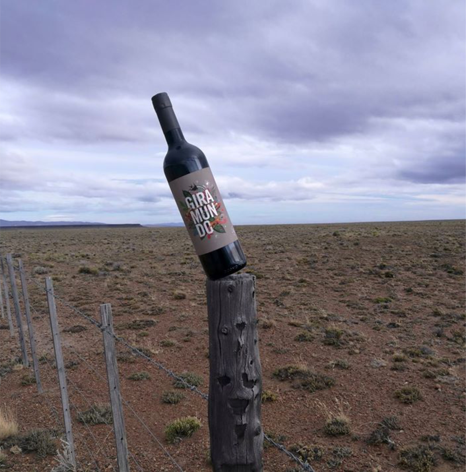 galería Giramundo Wines